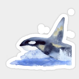 Orca in Watercolor and Gold Sticker